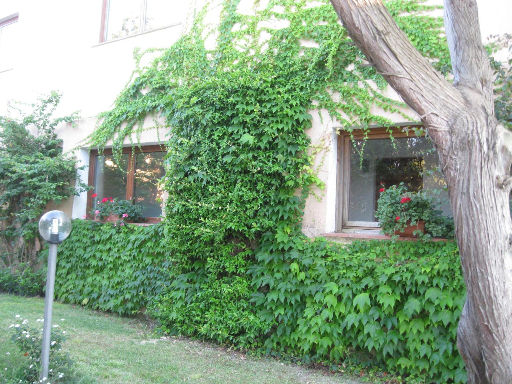 Hotel Valdiola Porto Cervo Exteriör bild